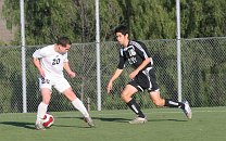 IMG_7684