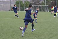 IMG_2229