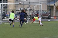 IMG_2312